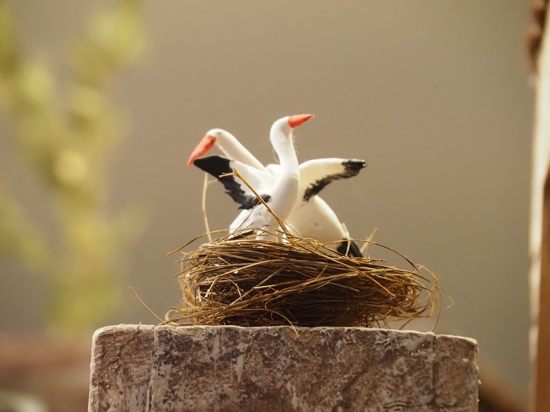 Animales domésticos