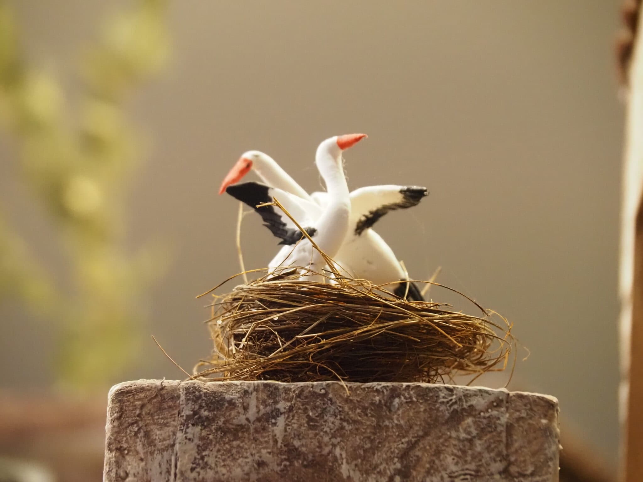 Animales domésticos