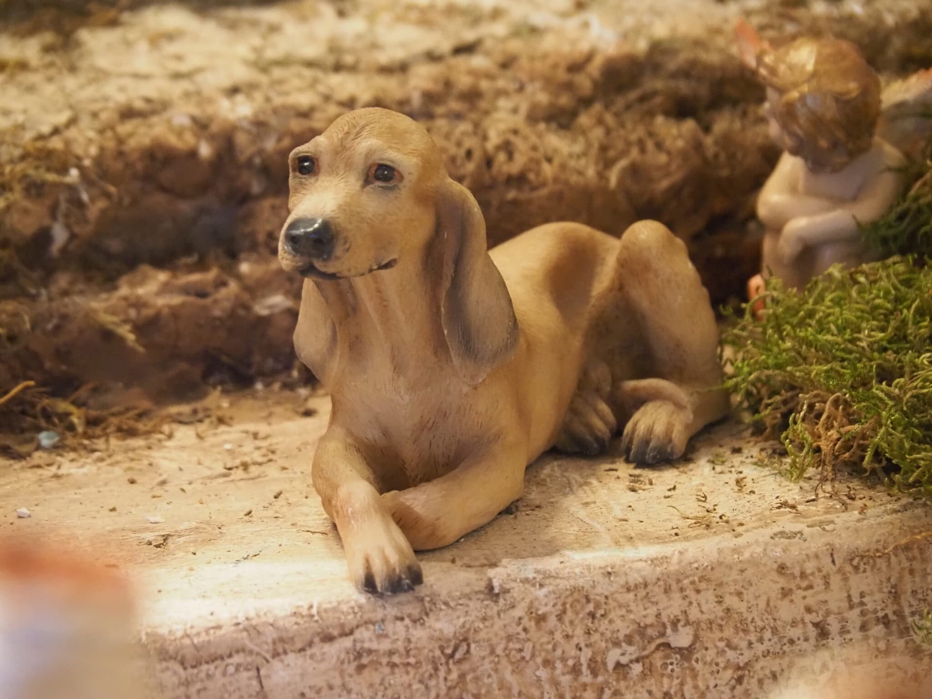 Animales del cortejo