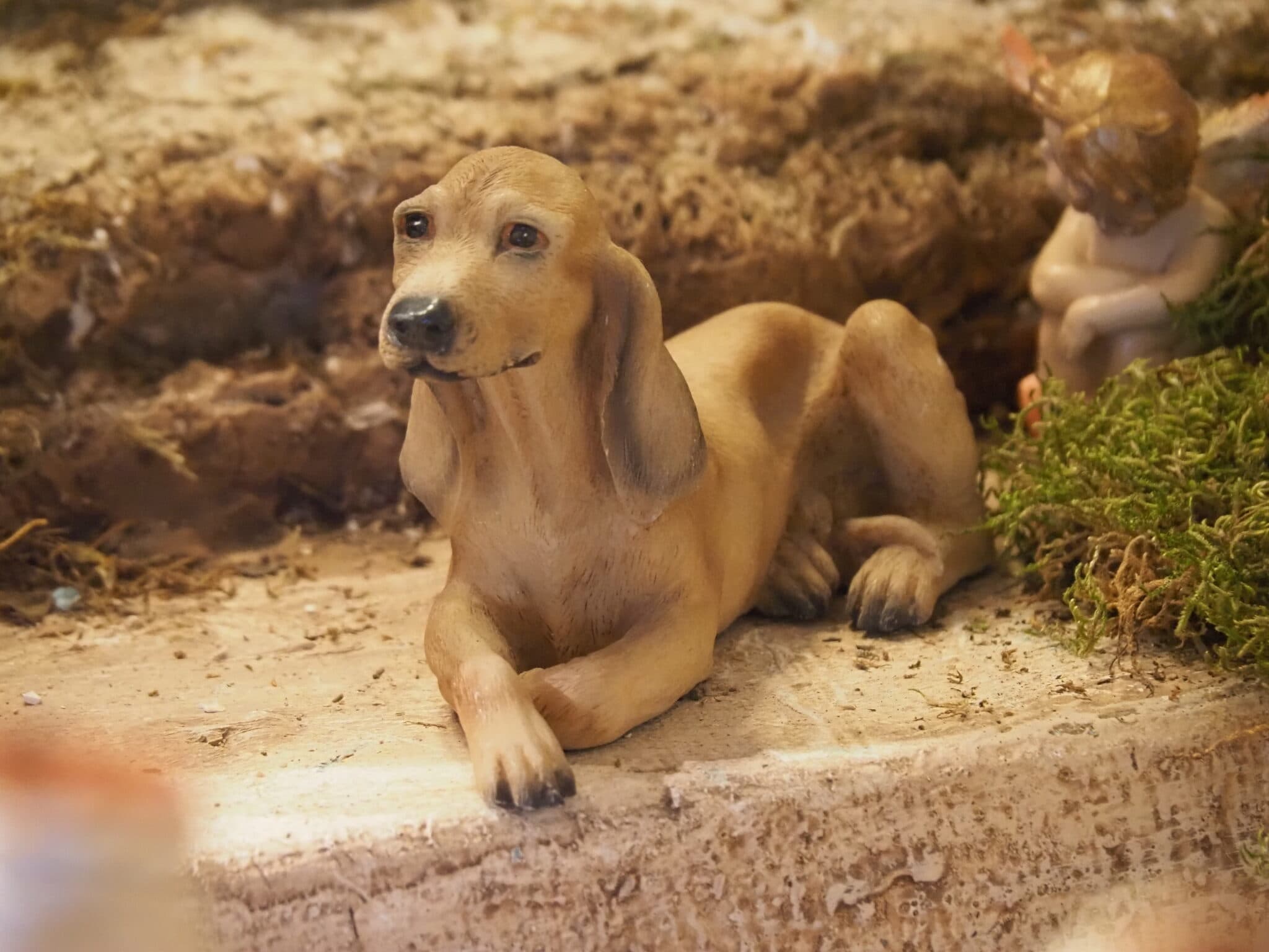 Animales del cortejo